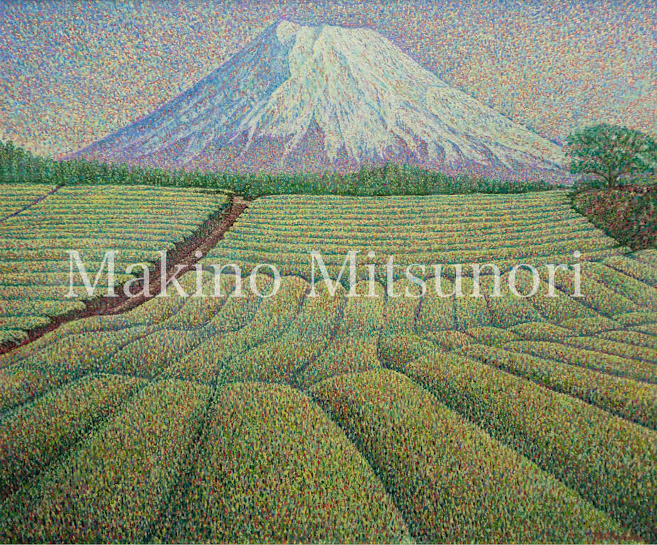 茶畑と富士